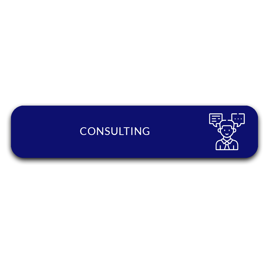 IT consultation services